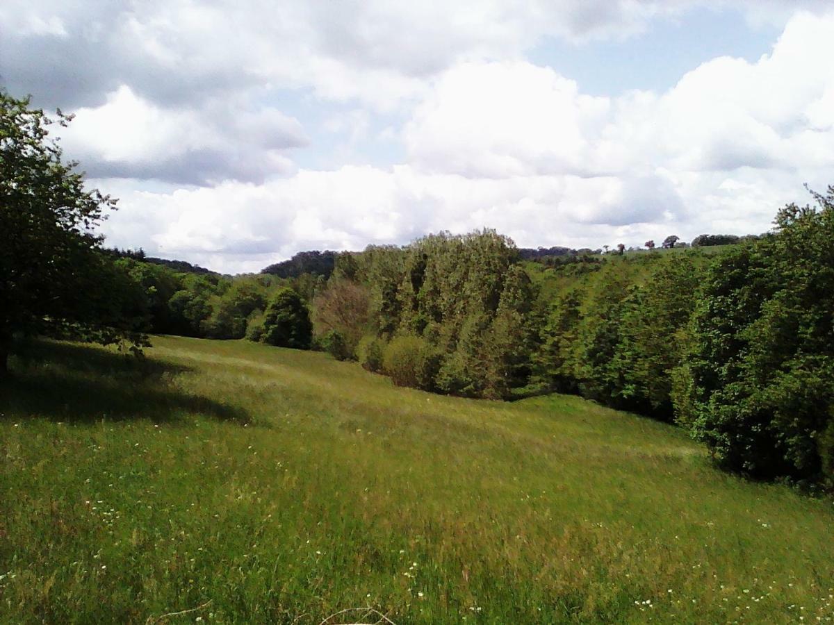Chateau de la Lucazière Mont-Saint-Jean  Esterno foto